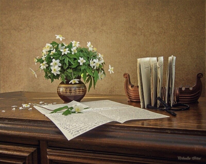 Flowers on Wooden Table — Brown