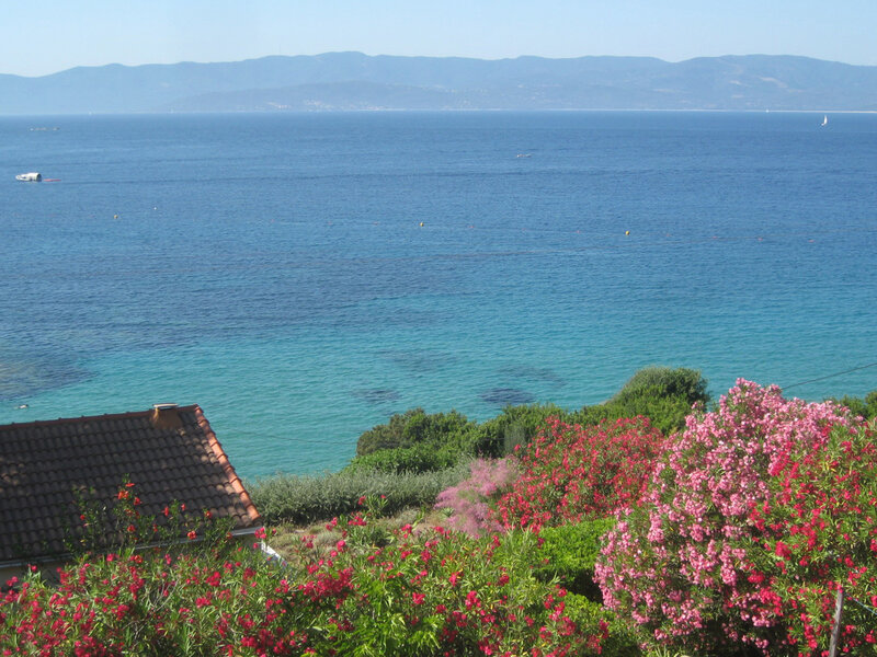 Flowers Overlooking Sea — Blue