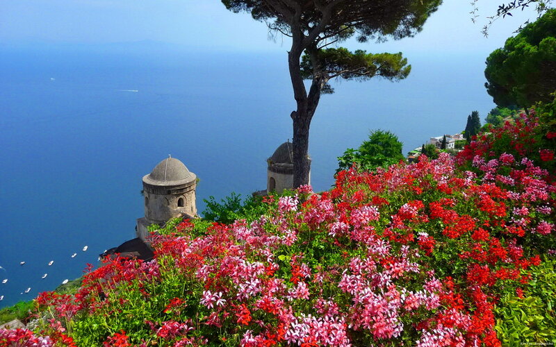 Flowers Overlooking Sea — Red