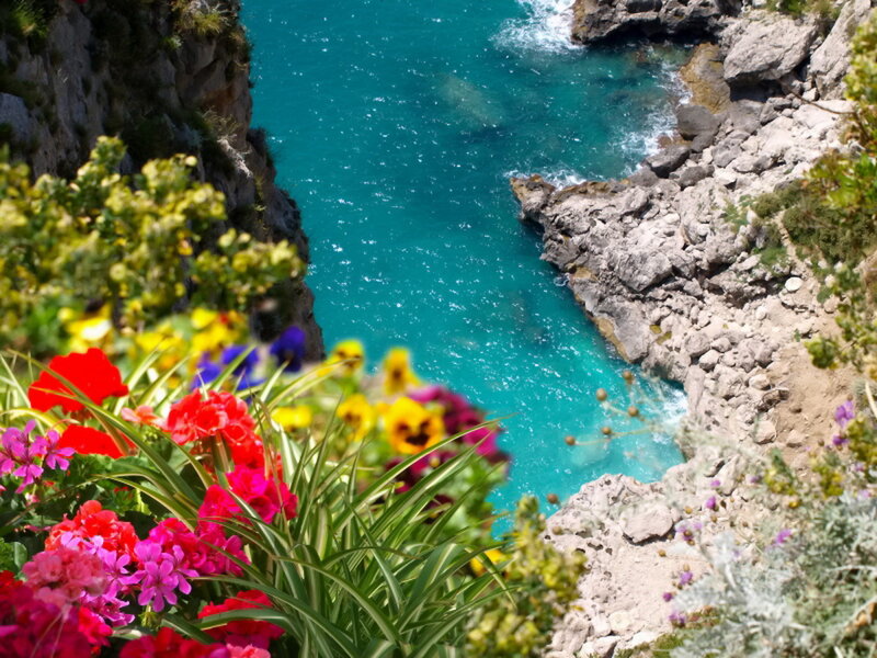 Flowers Overlooking Sea