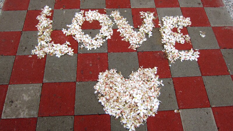 Flowers Spelling Love — Red