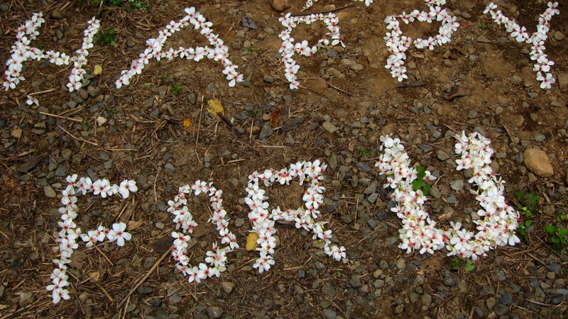 Flowers Spelling Words