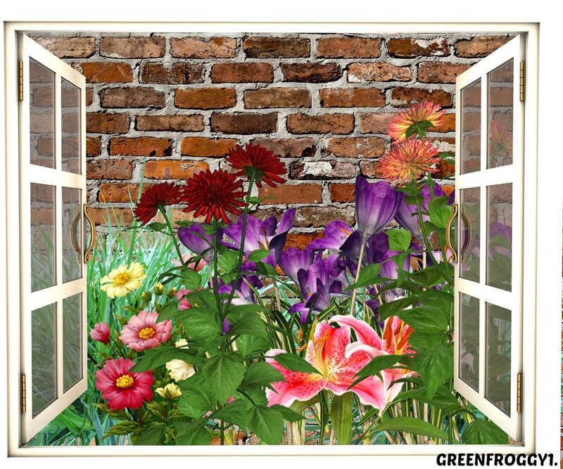 Flowers Through Open Window