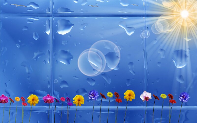 Flowers under Glass