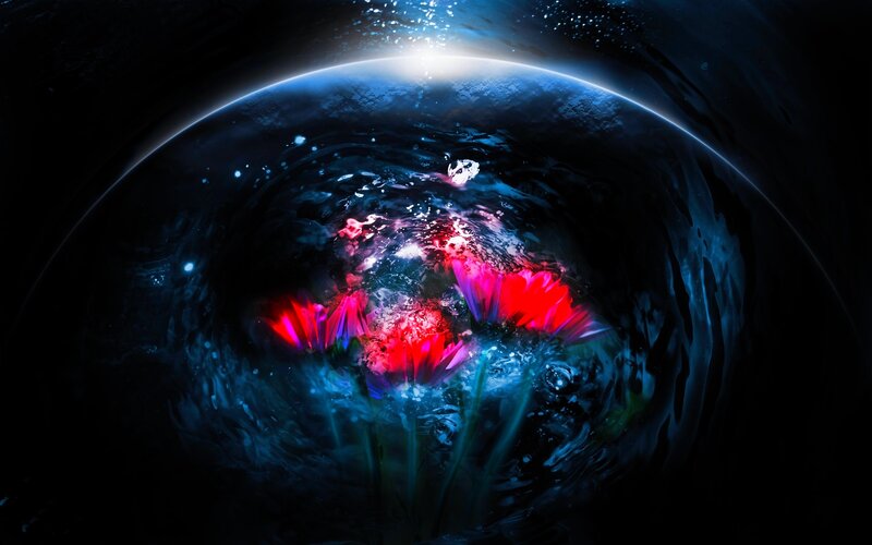 Flowers Underwater