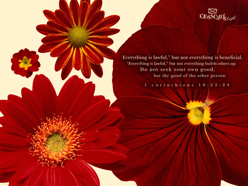 Flowers with Bible verse