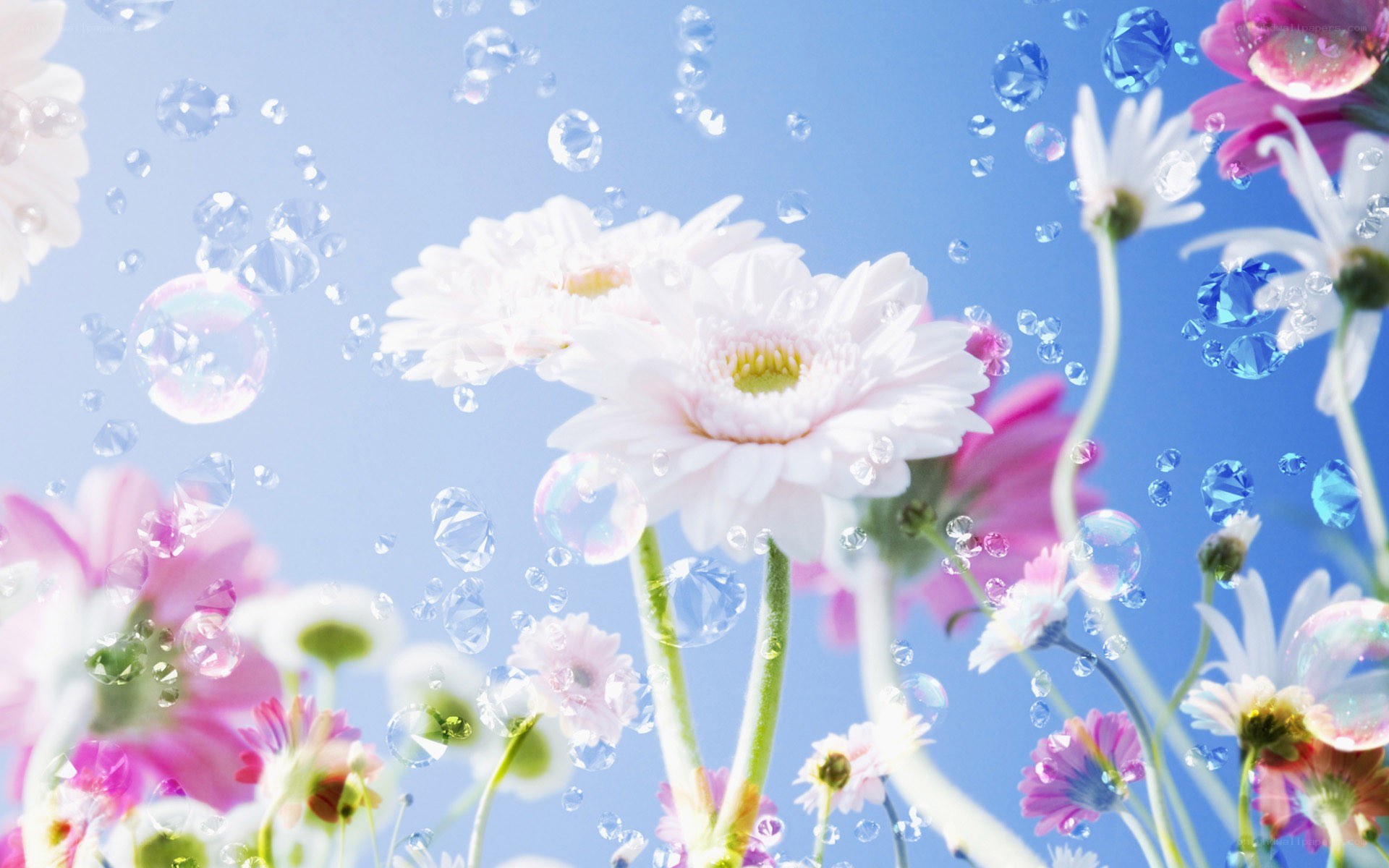flowers with bubbles and gems