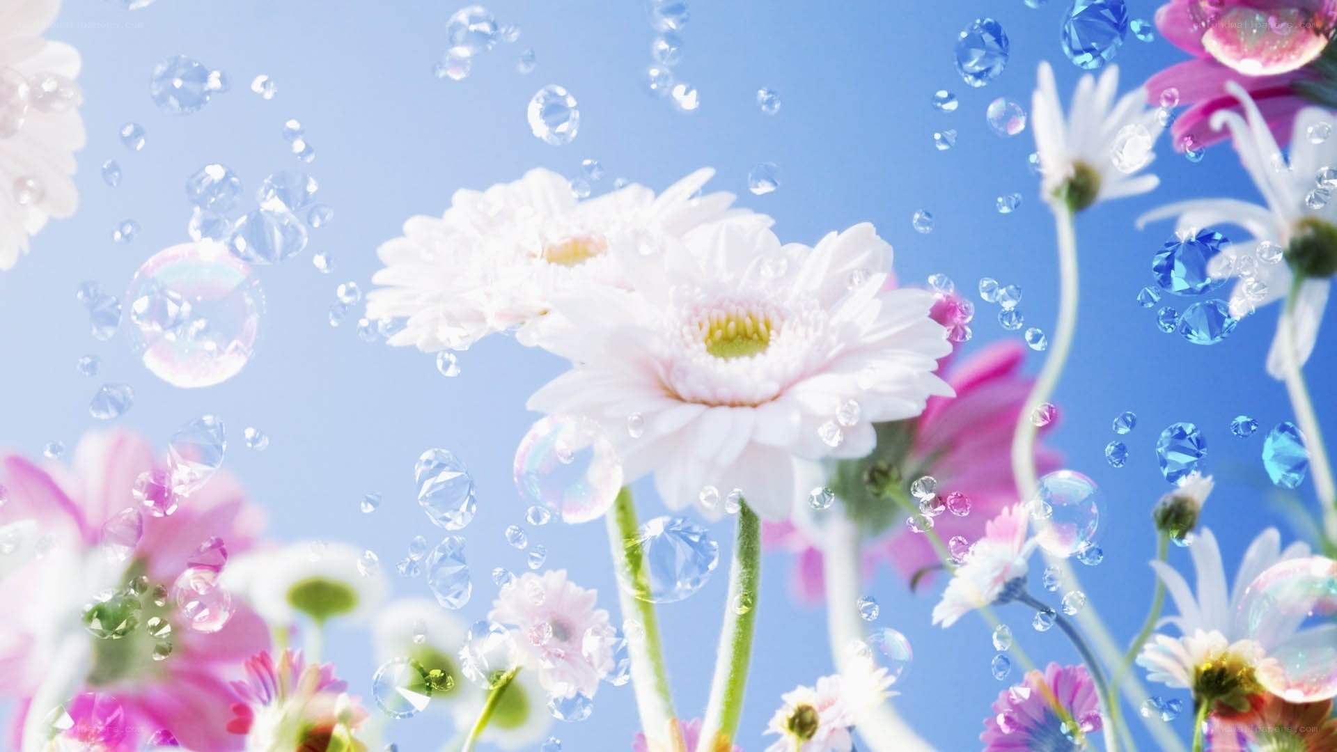 Flowers with bubbles and gems