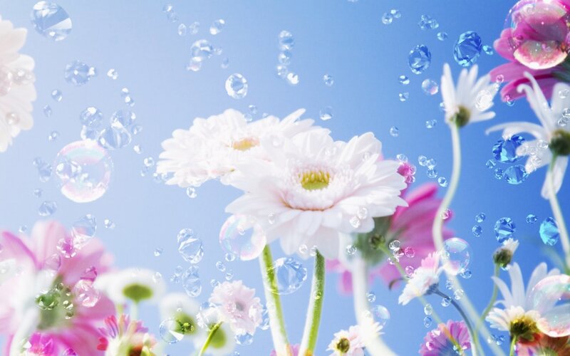 flowers with bubbles in sky