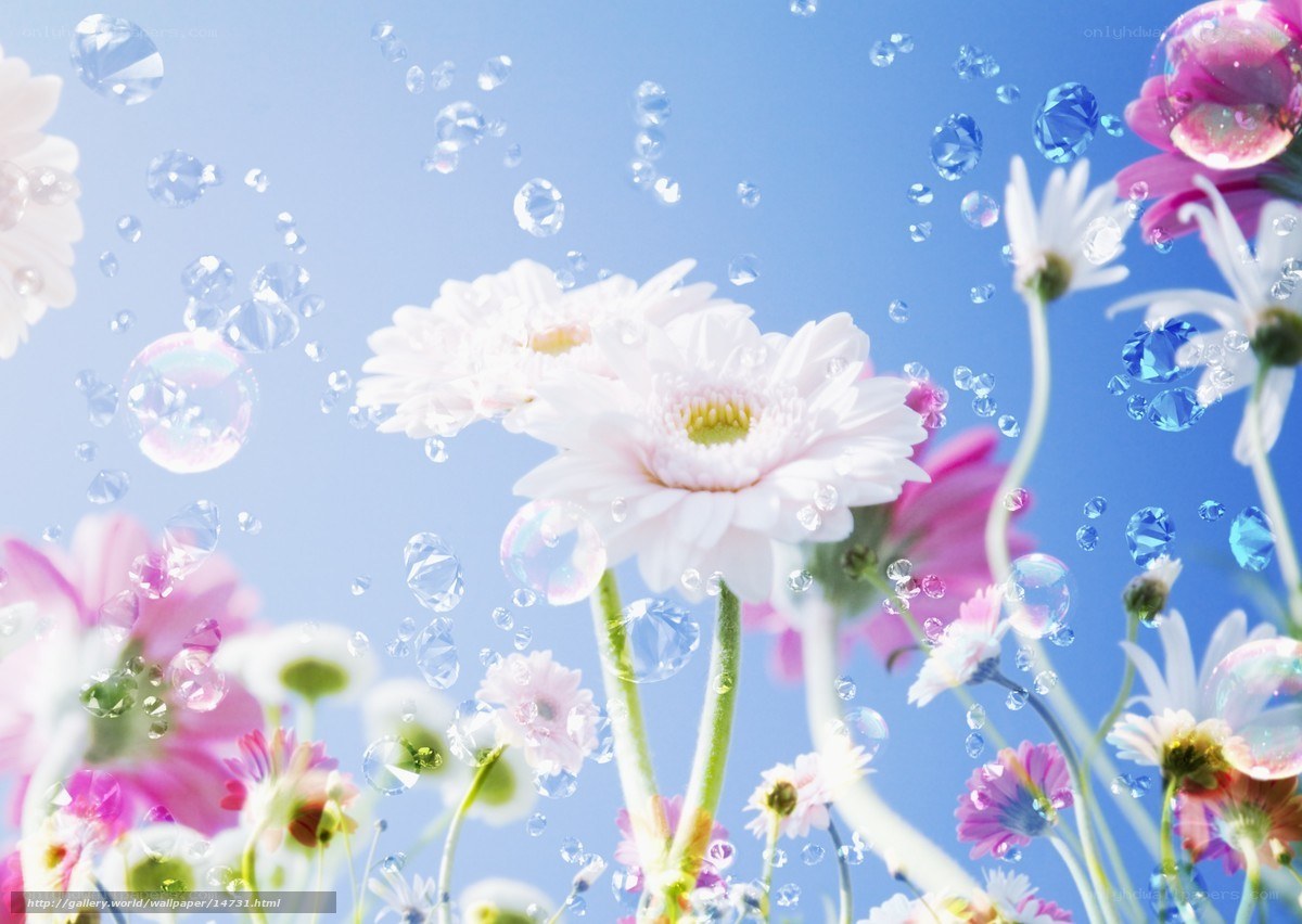 Flowers with bubbles in sky