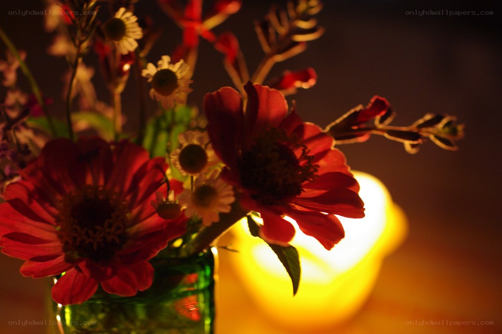 Flowers with candlelight
