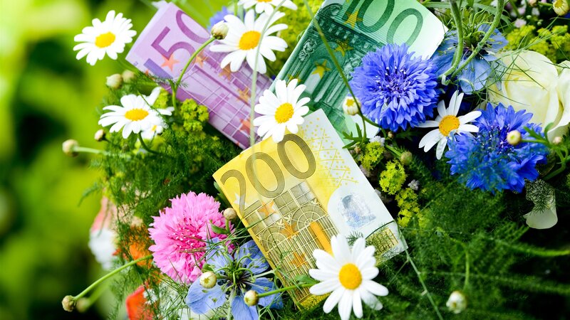 Flowers with Euro Banknotes