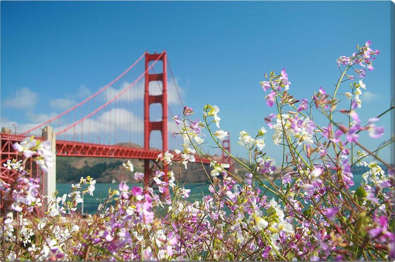 Flowers with Golden Gate Bridge