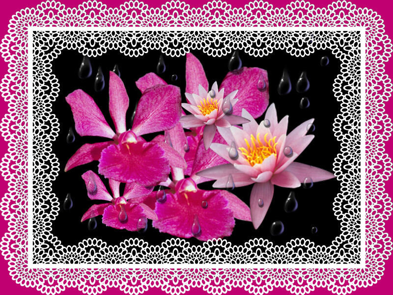 Flowers with lace border
