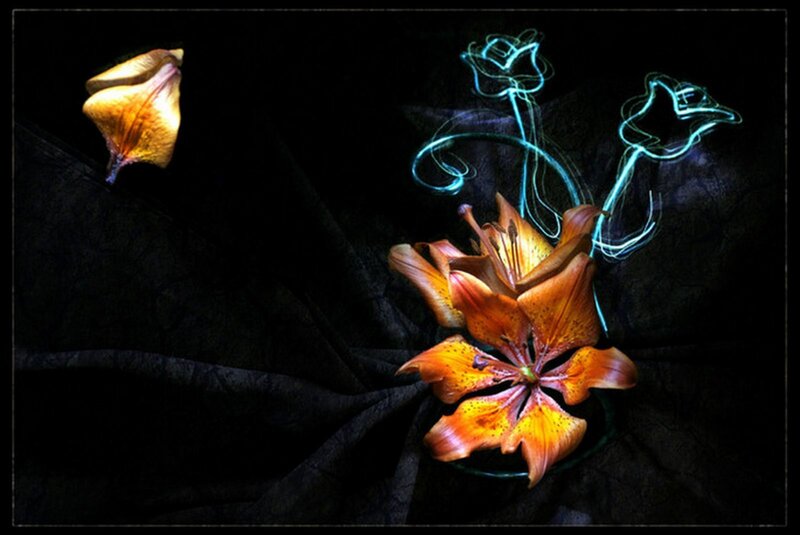 Flowers with light trails