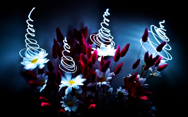 Flowers with Light Trails — White