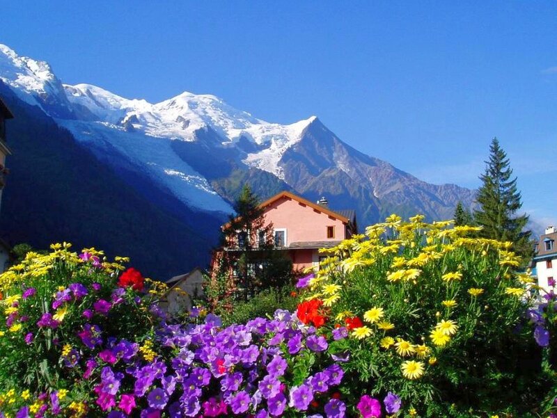 Flowers with mountain view