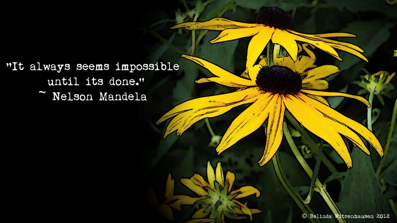 Flowers with quote