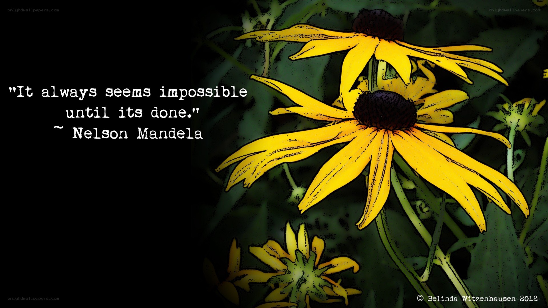 Flowers with quote
