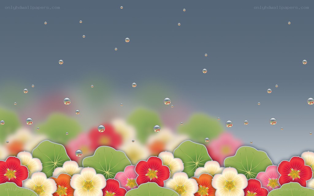 flowers with raindrops