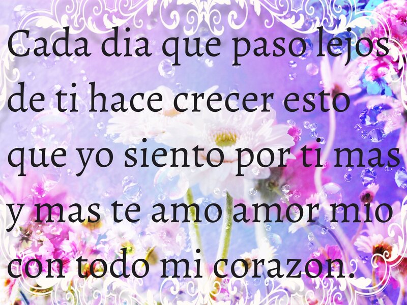 Flowers with Text Overlay — Purple