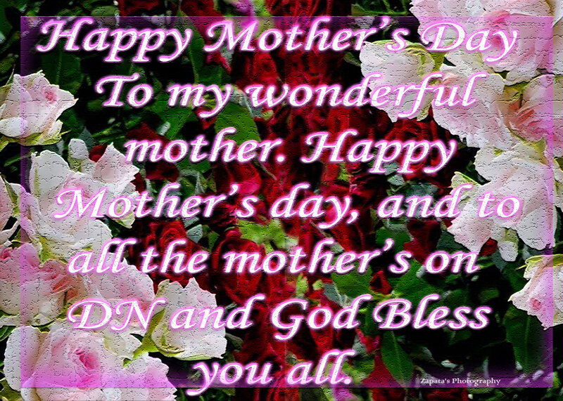 Flowers with Text Overlay