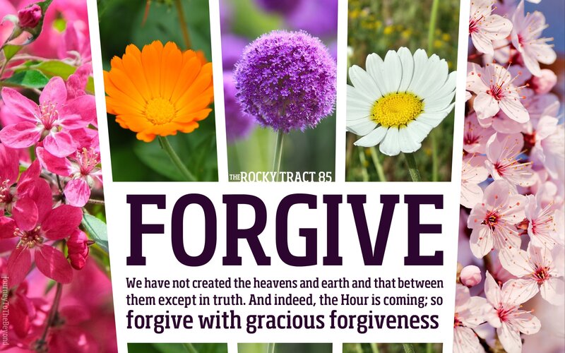 Flowers with Text — Pink, Serene