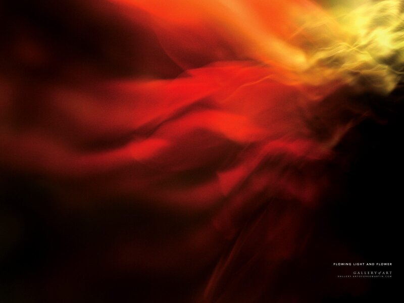 Flowing Light and Flower