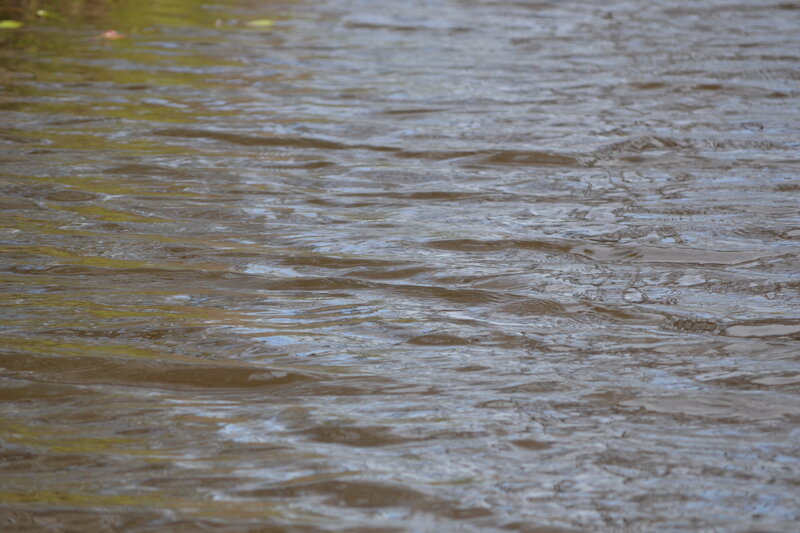 Flowing River Water — Brown, Calm