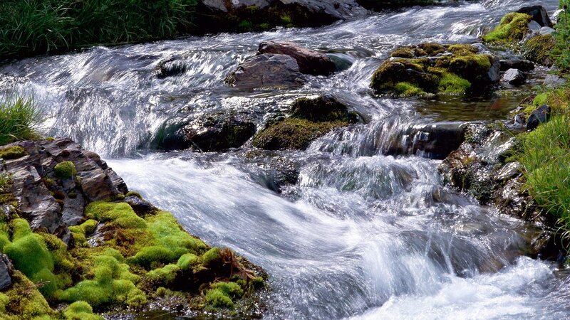 Flowing stream over mossy rocks