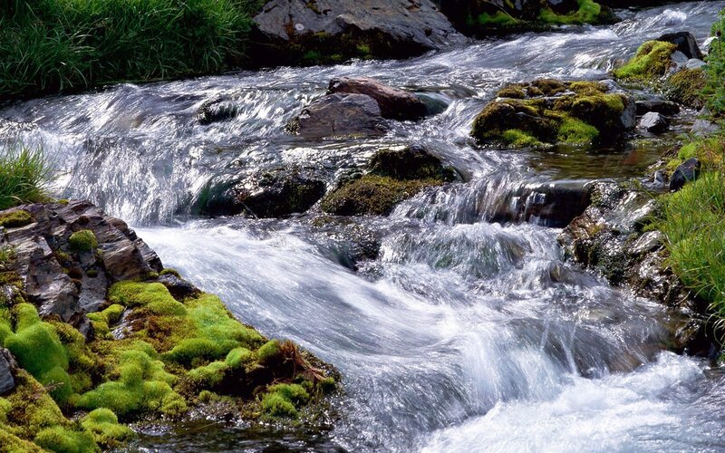 Flowing stream over mossy rocks