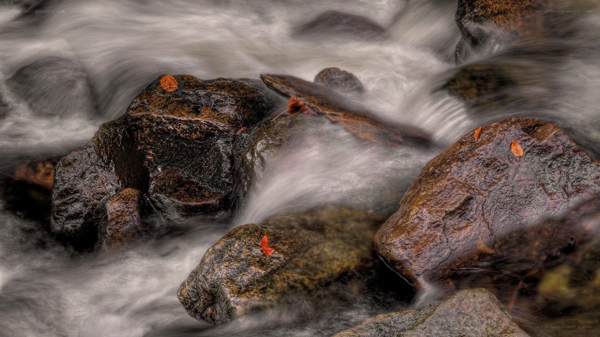 Flowing stream over rocks