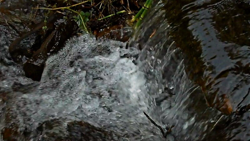 flowing stream water