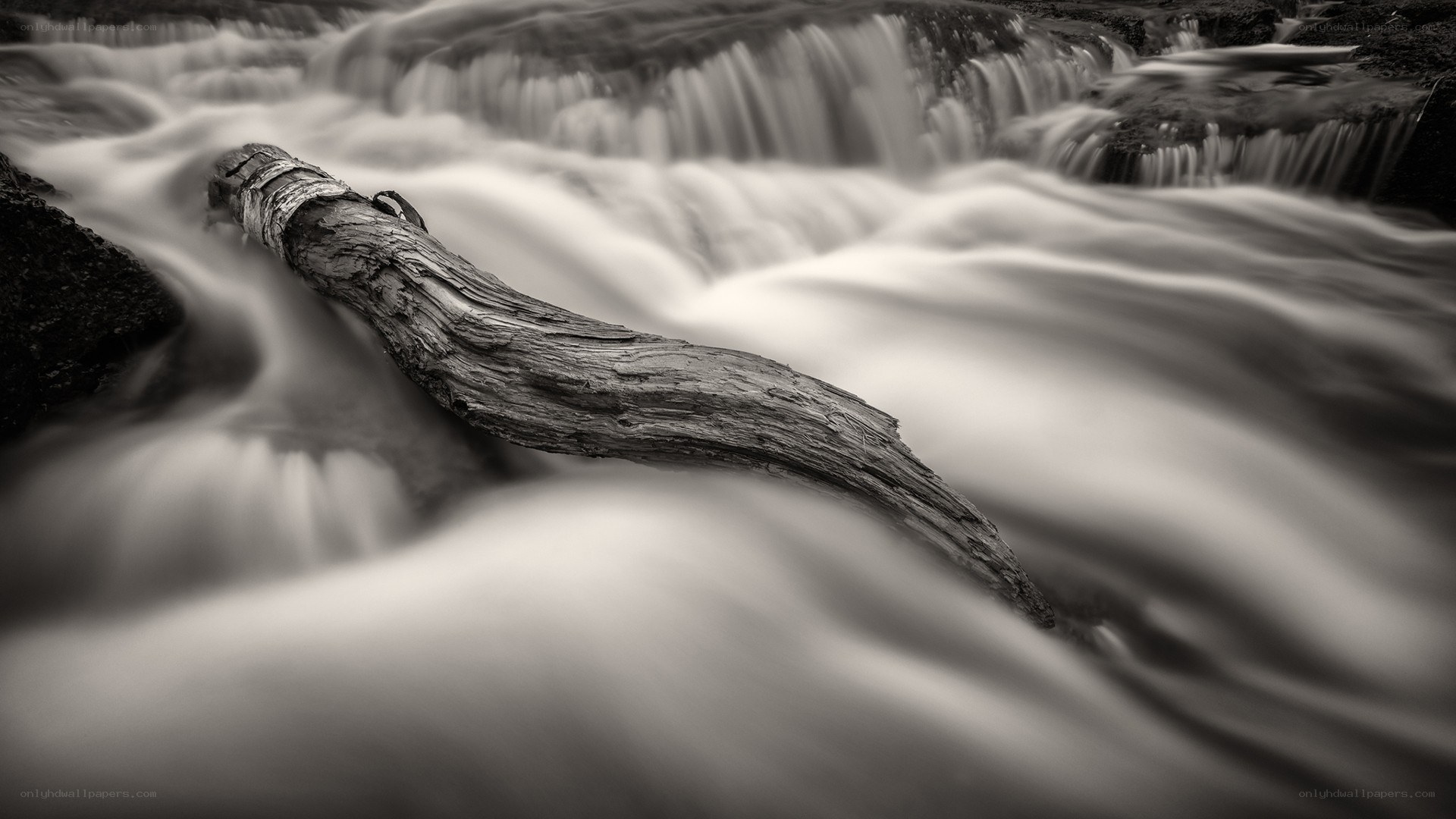 Flowing stream with driftwood