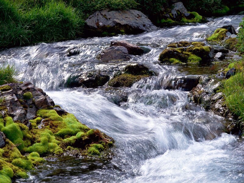 Flowing stream with mossy rocks