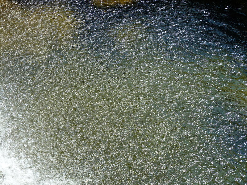 Flowing Water Surface — Green