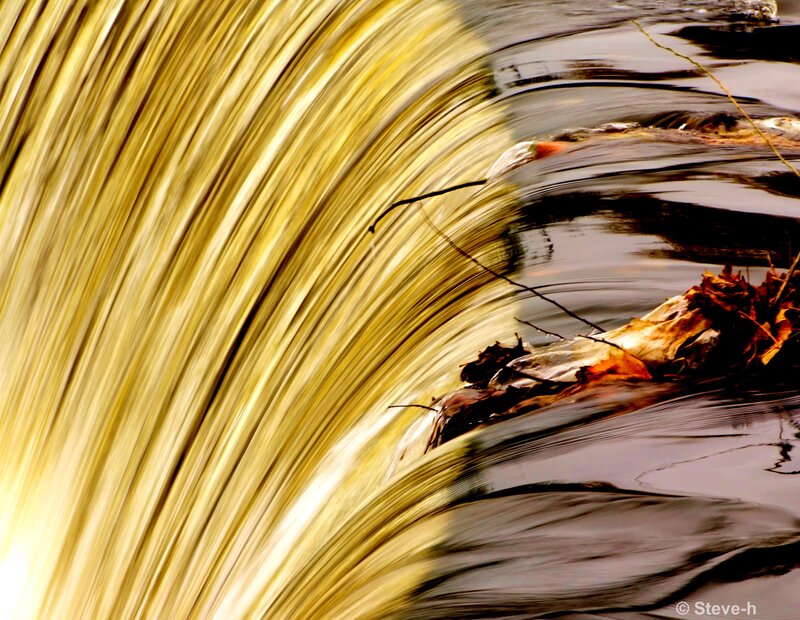 Flowing Water with Leaves