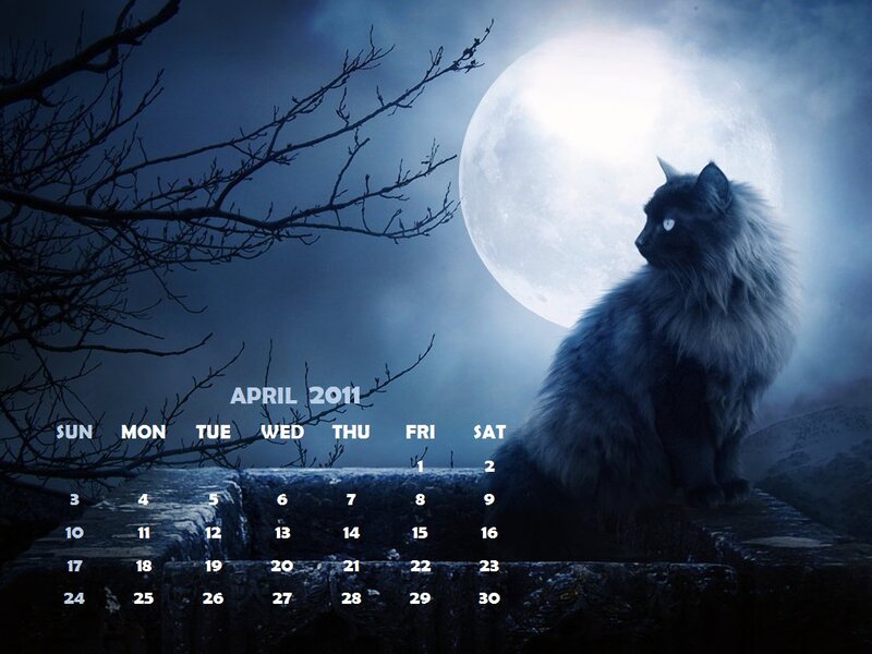 Fluffy Black Cat — Blue, Mysterious, Night