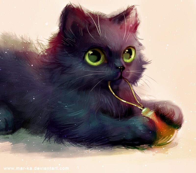 Fluffy Black Cat — Calm, Winter