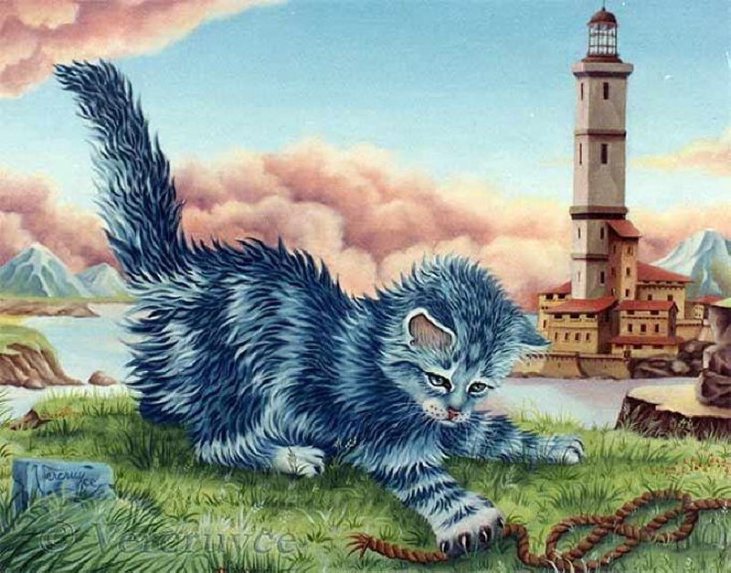 Fluffy Blue Kitten