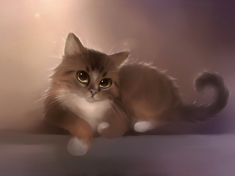 Fluffy Brown Kitten — Calm