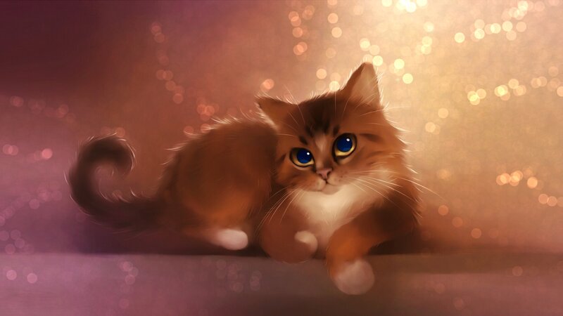 Fluffy Brown Kitten — Warm