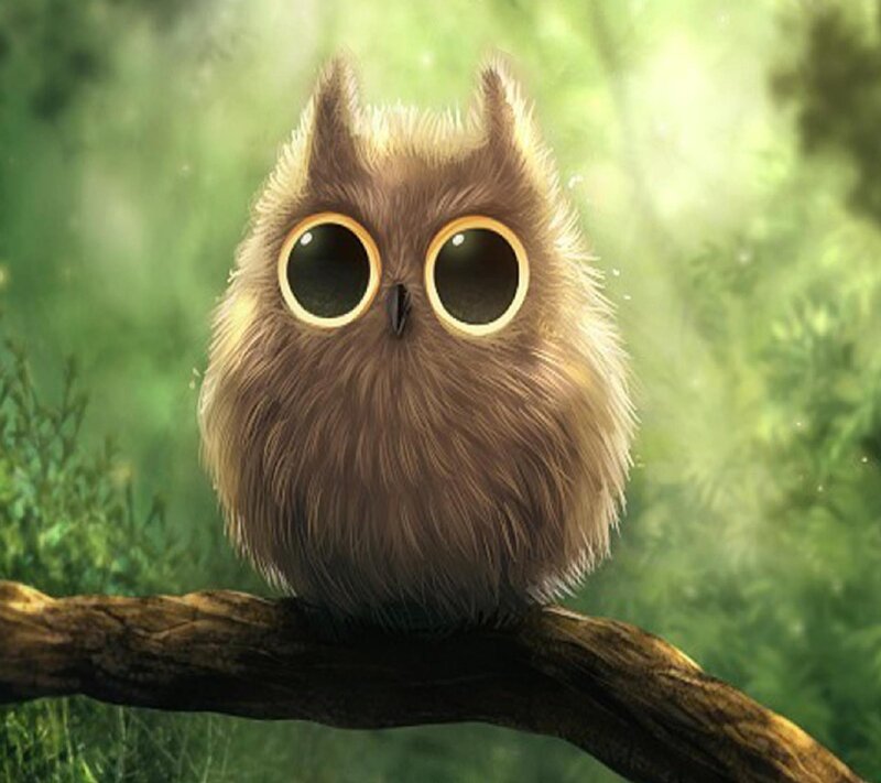 Fluffy Brown Owl