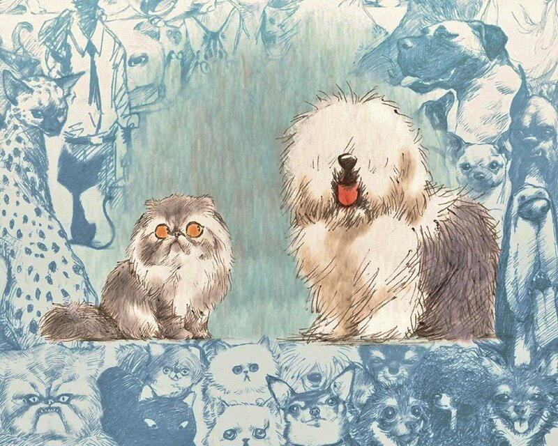 Fluffy Cat and Dog