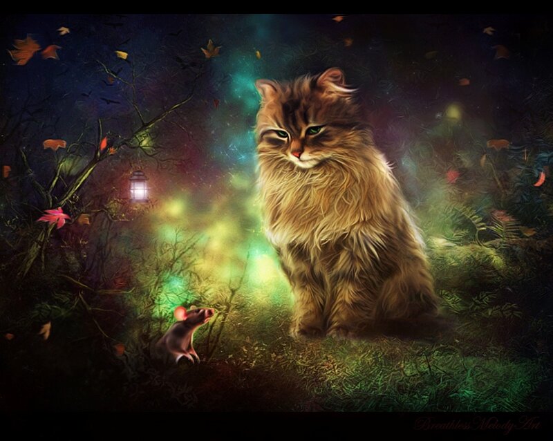 Fluffy Cat and Mouse