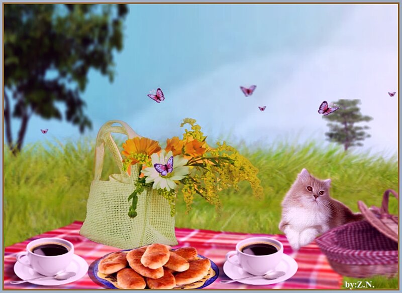 Fluffy Cat at Picnic
