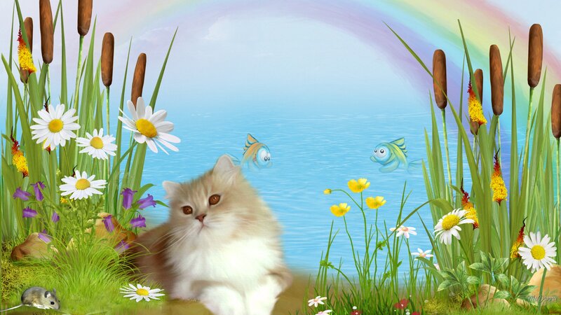 Fluffy Cat by Pond