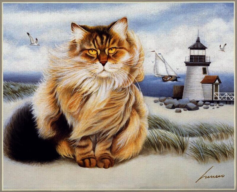 fluffy cat by the lighthouse