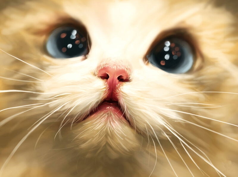 Fluffy Cat Face — White