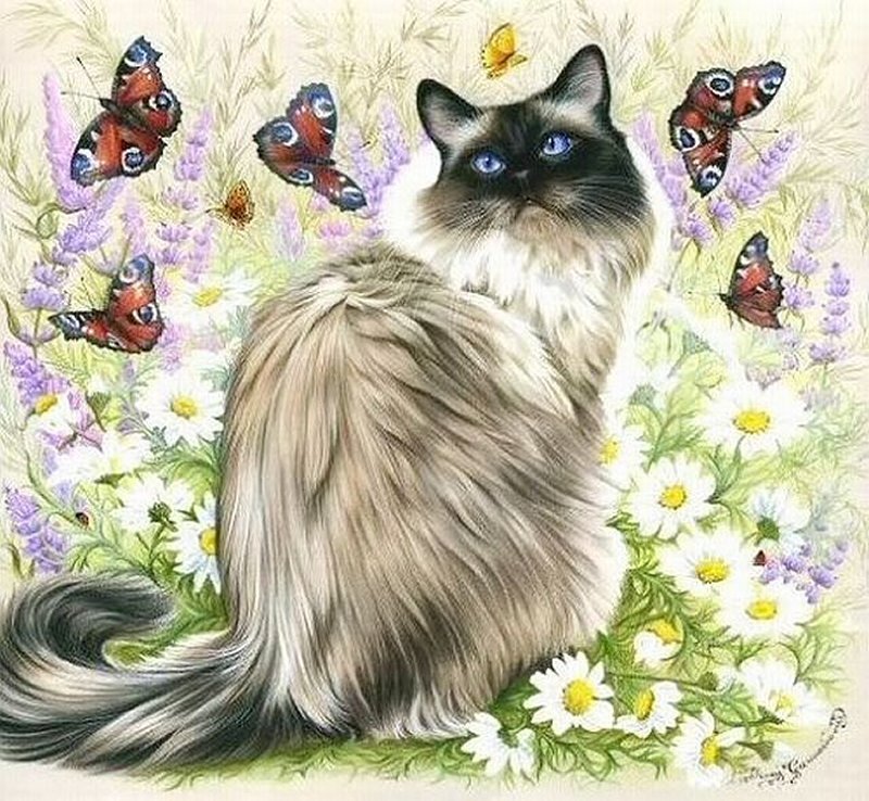 Fluffy Cat in Flowers — White